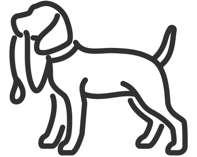 1-2-1 Dog with lead